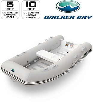   Genesis RIB 310